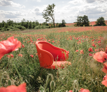 freifrau_manufaktur_image_05